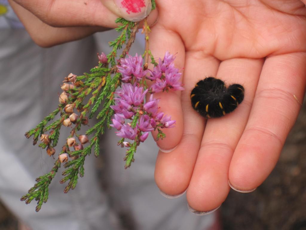 Appreciating All Critters Through Example&nbsp;(Evergreen)