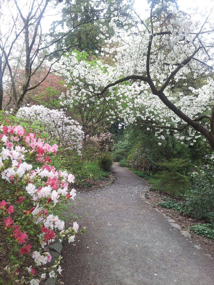 Crystal Springs Rhododendron Garden and Lessons in Avian Health (April&nbsp;2013)