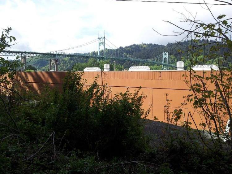 10322994_10202580042956863_1419259452_n