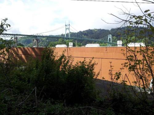 10322994_10202580042956863_1419259452_n