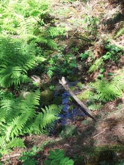 11156918_10205120952798021_402747283_n