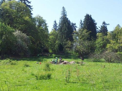 11173564_10205120927237382_1685010726_n