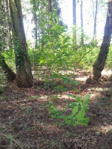 961480_10205121275966100_580510068_n