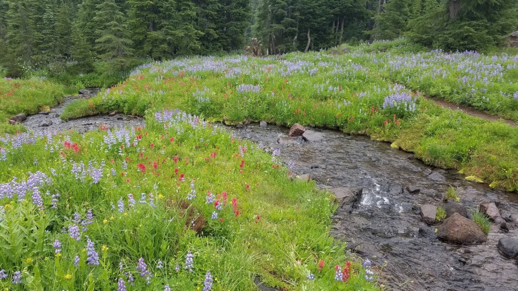 PCT Oregon – Day 27 to Lava Camp Lake&nbsp;Campground