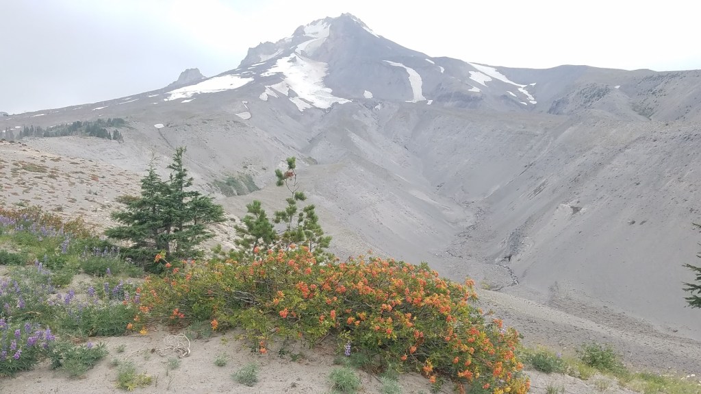Backpacking the PCT Oregon – Day 37 to Timberline&nbsp;Lodge